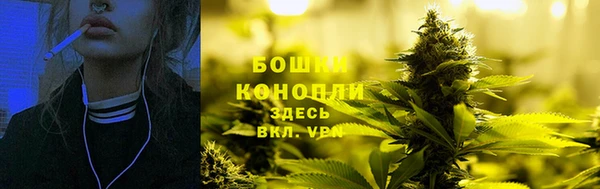 СК Ельня