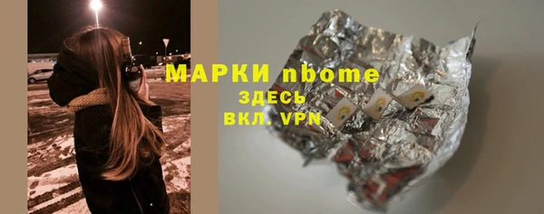 СК Ельня
