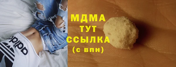 СК Ельня