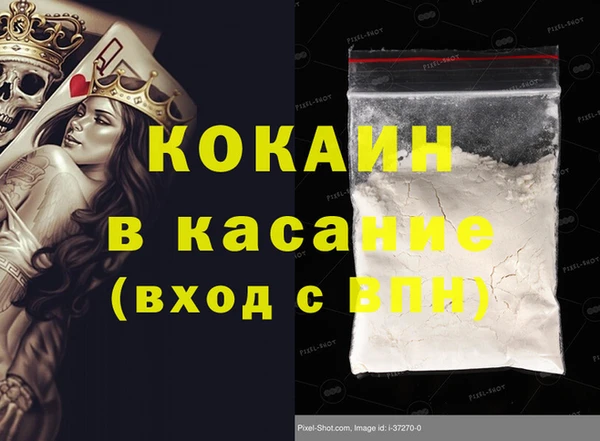 СК Ельня