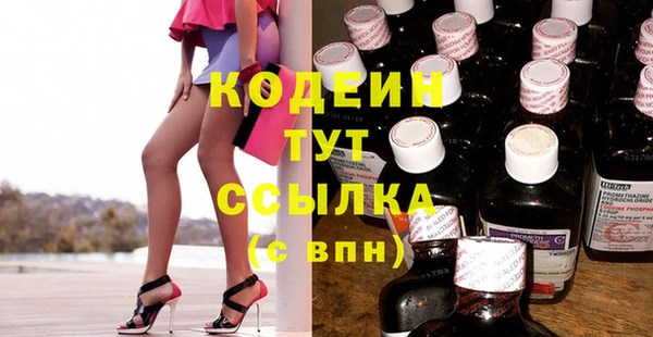СК Ельня