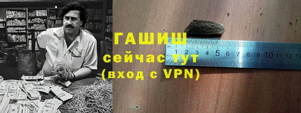 СК Елизово
