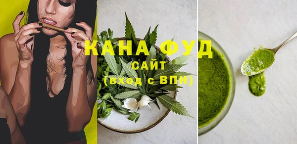СК Ельня