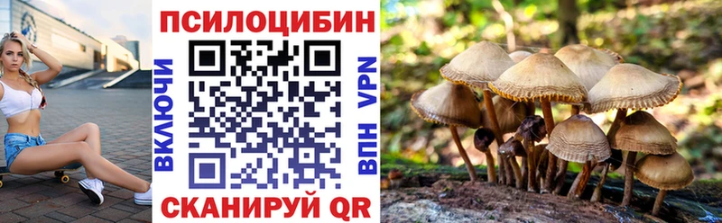 KRAKEN как зайти  Саяногорск  Галлюциногенные грибы Cubensis 