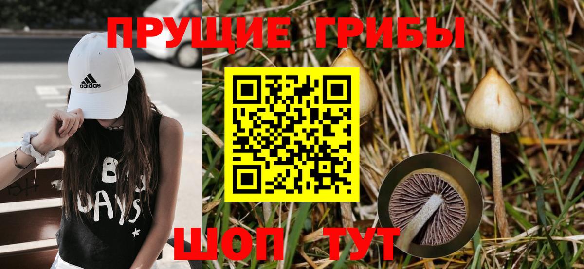 Псилоцибиновые грибы прущие грибы Саяногорск