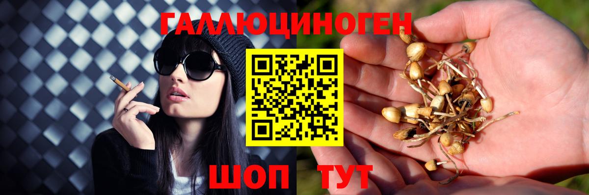 Псилоцибиновые грибы прущие грибы  Вход с VPN  дарнет шоп  Саяногорск 